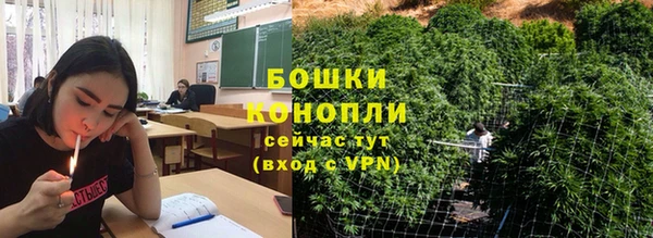 гидропоника Алзамай